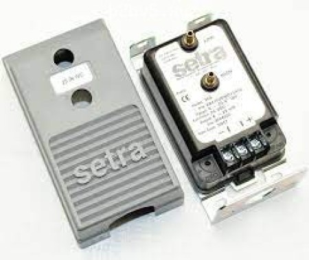 Owl Image